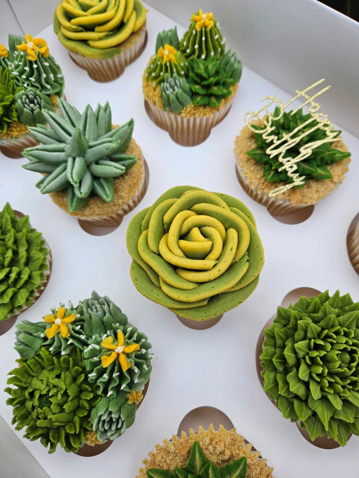 Bespoke designed succulent plant cupcake